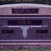 Mary Oneal Photo 12