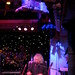 Lee Hogan Photo 16