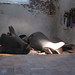 Mary Lui Photo 10