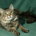Catherine Riddle Photo 32