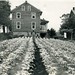 John Snyder Photo 6