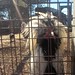 Terry Beebe Photo 10