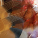 Mark Vestal Photo 12