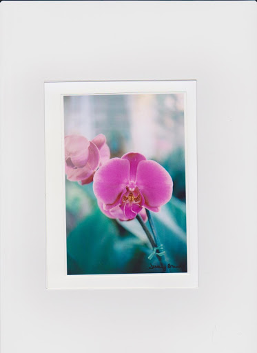 Susan Brand Photo 12