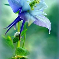 Debra Dunlap Photo 31