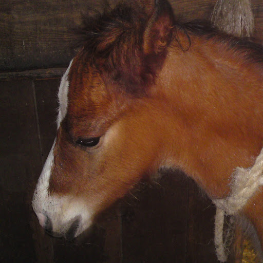 Becky Small Photo 26