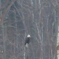 Michael Musselman Photo 4