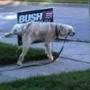 Kimberly Lange Photo 5