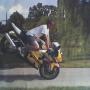 Wayne Larson Photo 34