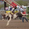 Bryan Haas Photo 31