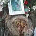 Mary Stump Photo 10