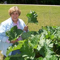 Lois Hansen Photo 27