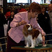 Carol Nickels Photo 5
