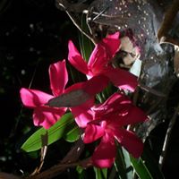 Renee Estes Photo 19