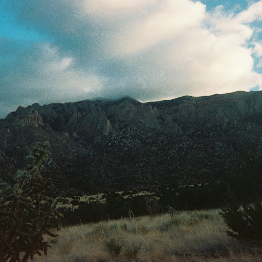 Linda Pruitt Photo 41