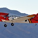 Douglas Forrest Photo 19