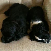 Donna Buckman Photo 4