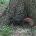Sammy Dye Photo 14