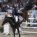 Jerry Mclain Photo 25