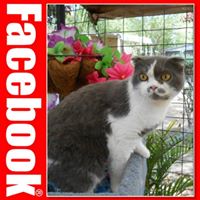 Sue Layton Photo 4