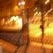 Edgar Tuttle Photo 10