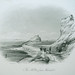 Terry Frederick Photo 22