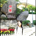 Yuan Lang Photo 9