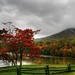 Misty Sharp Photo 15