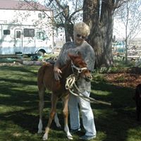 Judy Saunders Photo 19