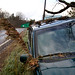 Connie Fitch Photo 12