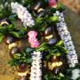 Lisa Howell Photo 23