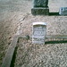 Thomas Morris Photo 15