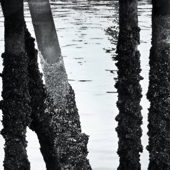 Mark Stahl Photo 25