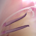 Joan Hunter Photo 12