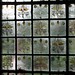 Philip Webb Photo 23