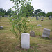 John Sprenger Photo 11