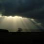 Tommy Miller Photo 3