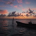 Sandra Barco Photo 15
