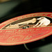 Richard Crook Photo 15