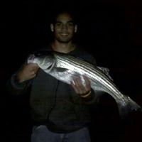 James Dodson Photo 43