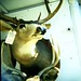 Staci Buck Photo 5