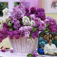 Consuelo Salinas Photo 24