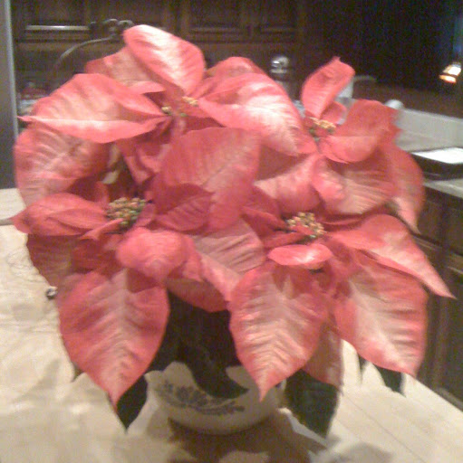 Betty Andersen Photo 10