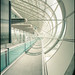 Charles Martino Photo 8