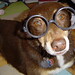 Harry Shepherd Photo 18