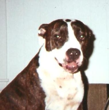 Barbara Hess Photo 35