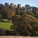 Andrew Hardwick Photo 15