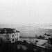 Anne Sherwood Photo 31