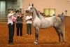 Patricia Gerdes Photo 8