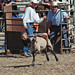 Frank Yoder Photo 14